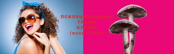 альфа пвп Вяземский