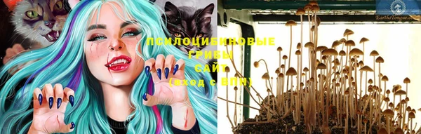 скорость Вязьма